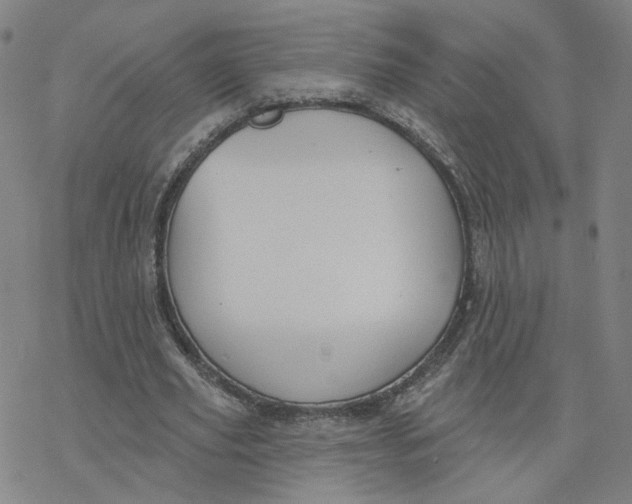 X0000076400629200610271619