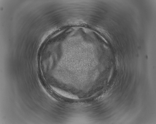 X0000076400630200610271619