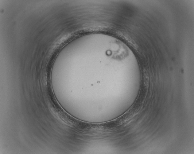 X0000076400631200610271619