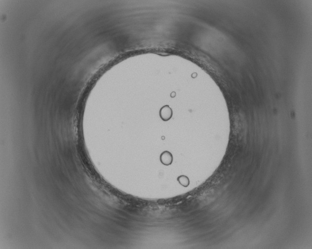 X0000076400632200610271619