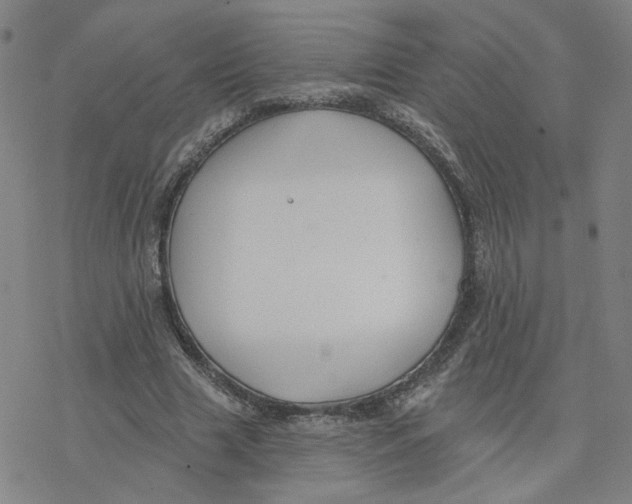 X0000076400633200610271619