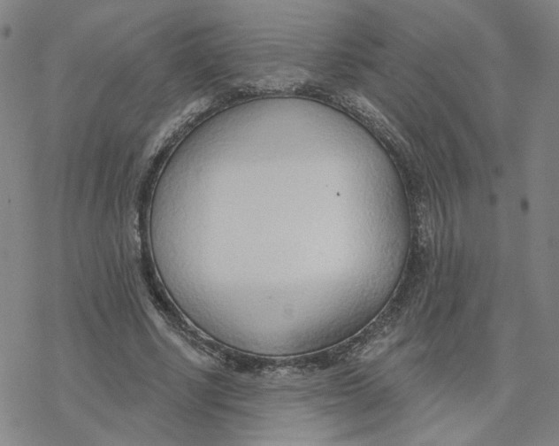 X0000076400634200610271619