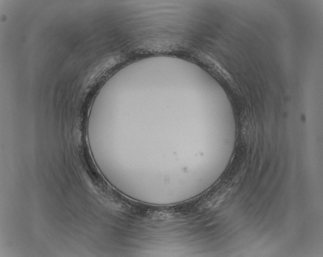 X0000076400635200610271619