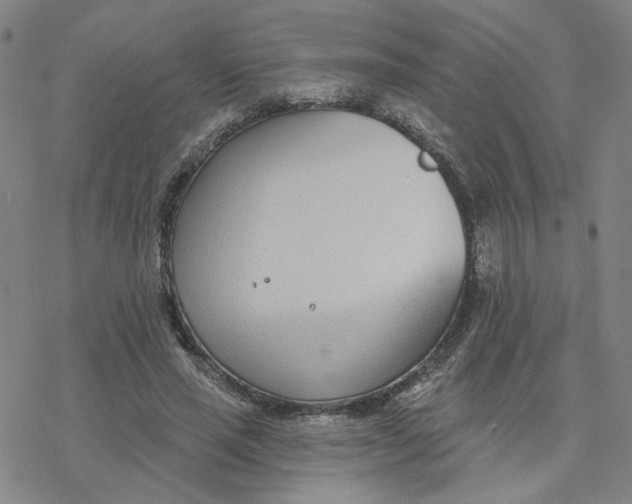 X0000076400637200610271619