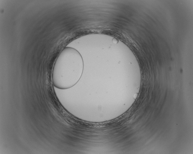 X0000076400639200610271619