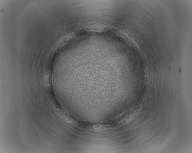 X0000076400641200610271619