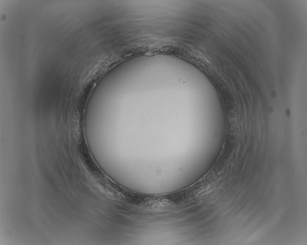 X0000076400642200610271619