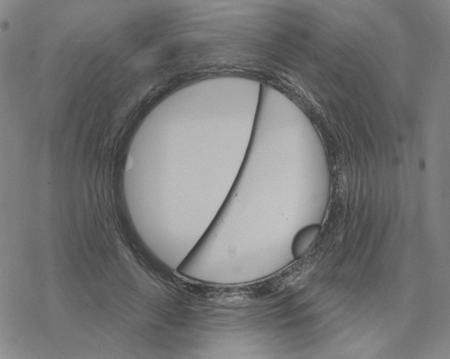 X0000076400643200610271619