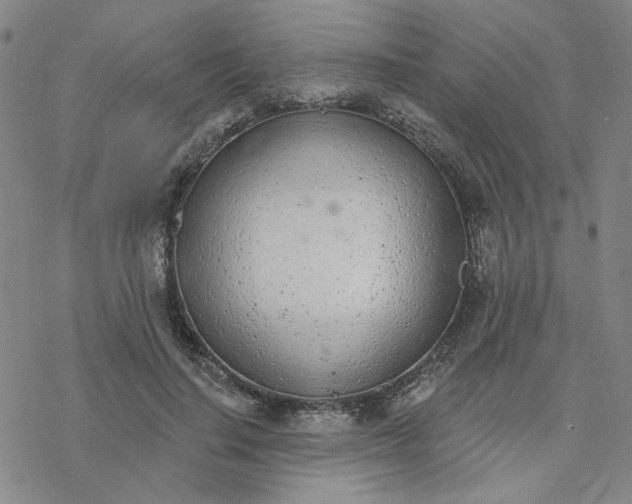 X0000076400644200610271619