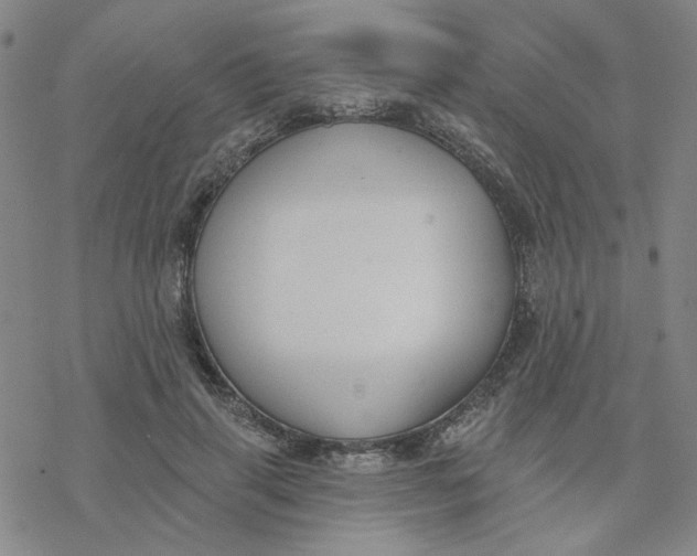 X0000076400645200610271619