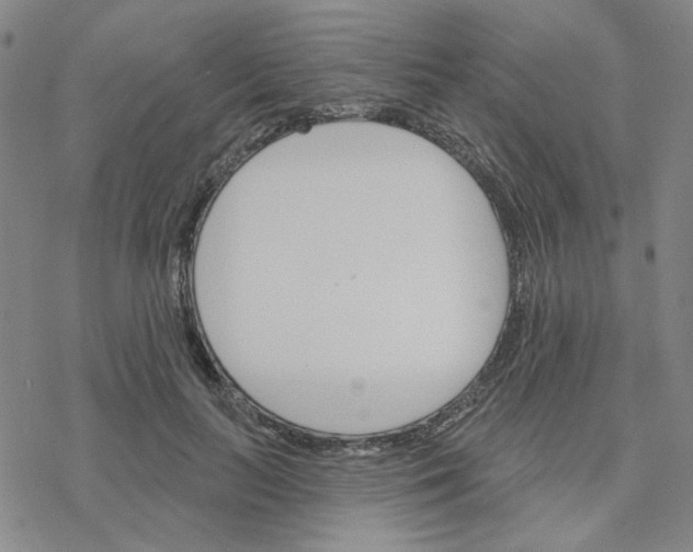 X0000076400647200610271619