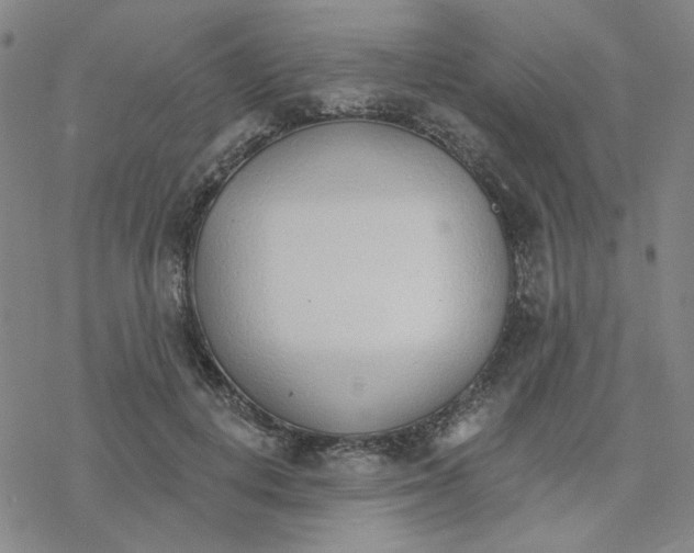 X0000076400648200610271619