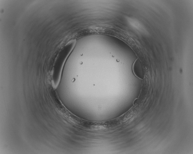 X0000076400649200610271619