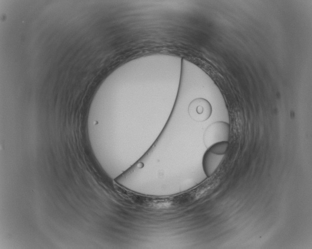 X0000076400651200610271619