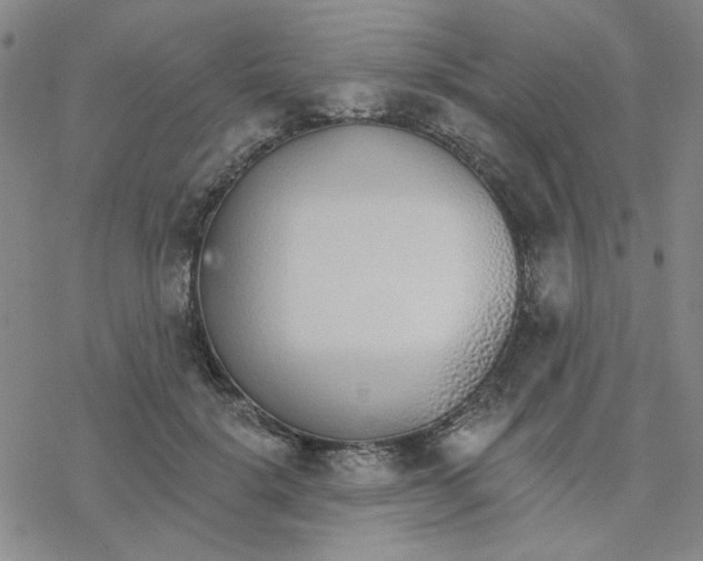 X0000076400652200610271619