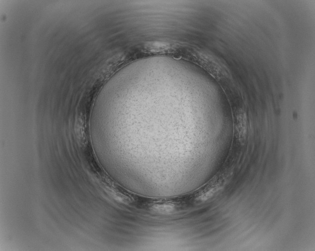 X0000076400653200610271619