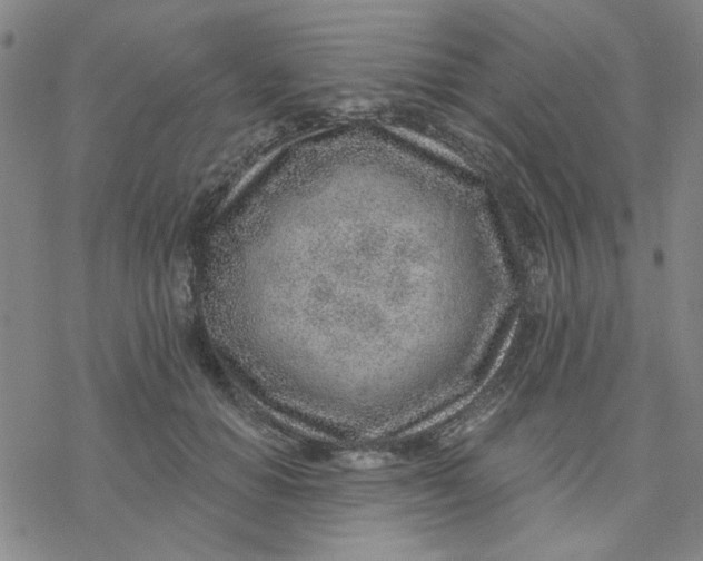 X0000076400654200610271619