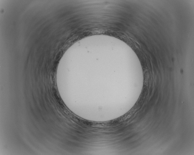 X0000076400655200610271619