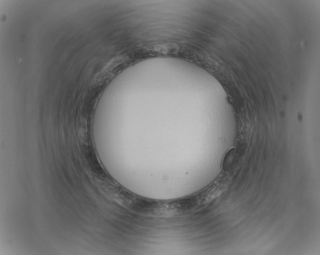 X0000076400656200610271619