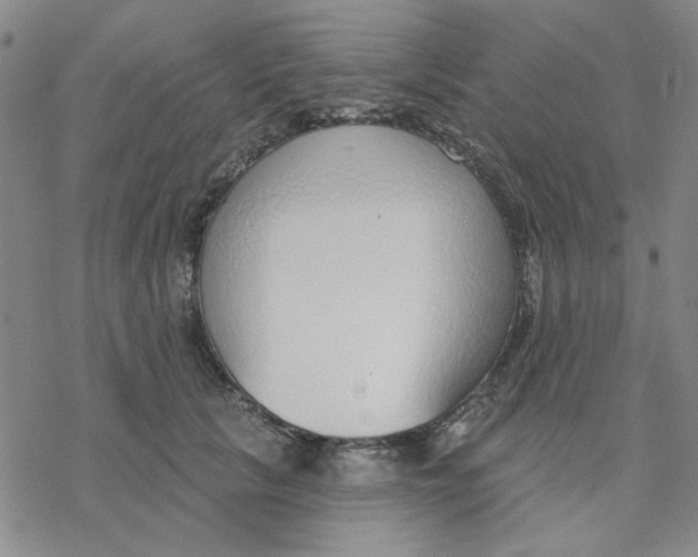 X0000076400657200610271619