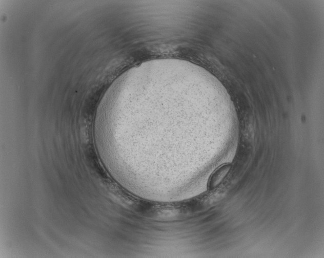 X0000076400658200610271619