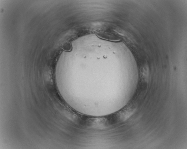 X0000076400663200610271619