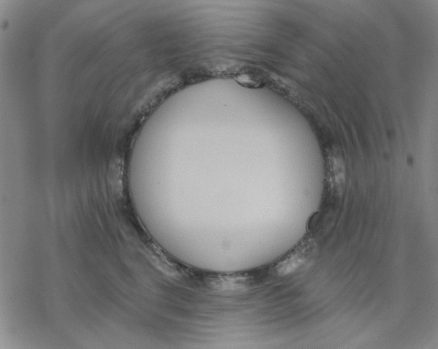 X0000076400664200610271619