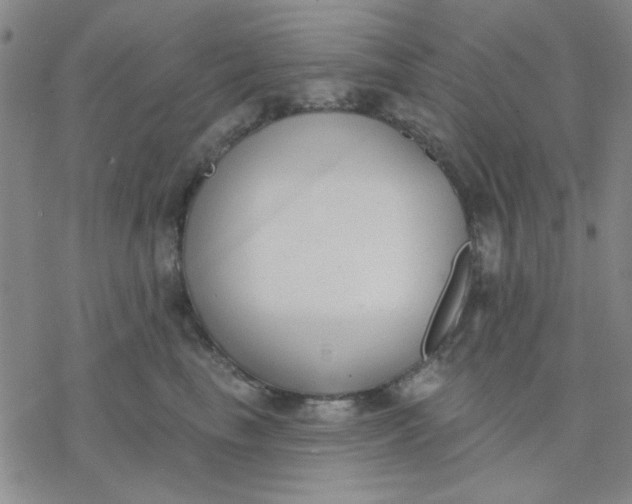 X0000076400665200610271619