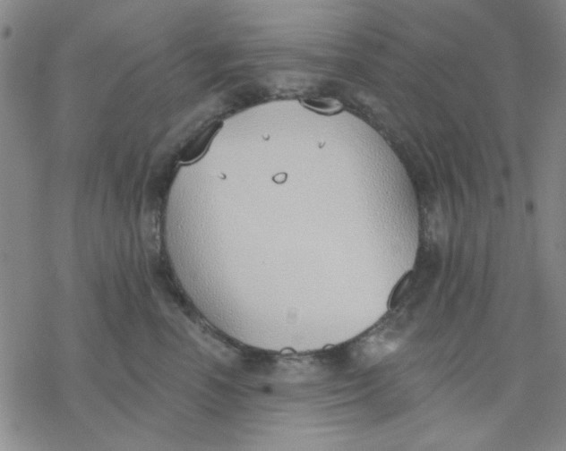 X0000076400666200610271619