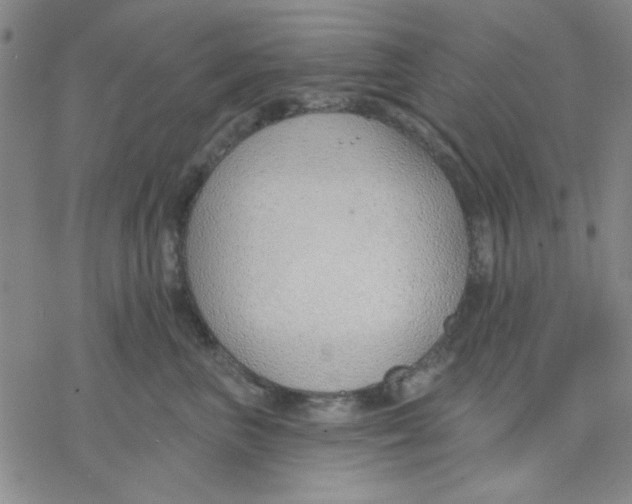 X0000076400667200610271619