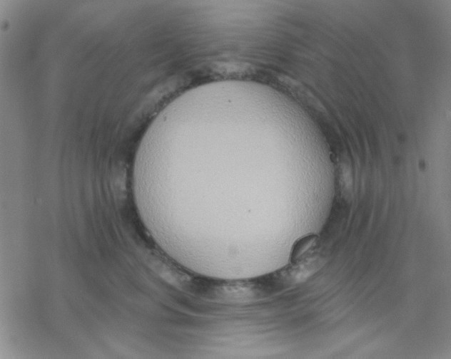 X0000076400668200610271619