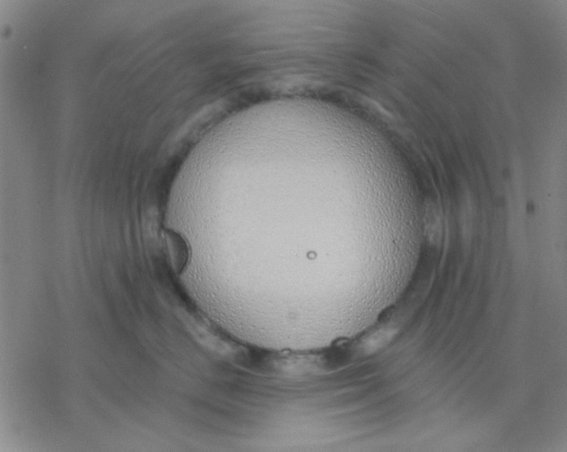 X0000076400670200610271619