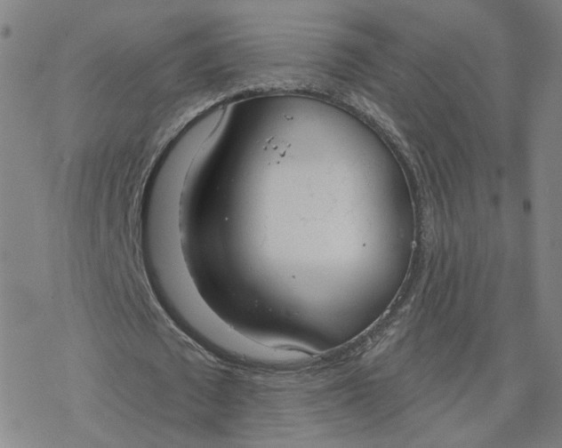 X0000076400673200610271619