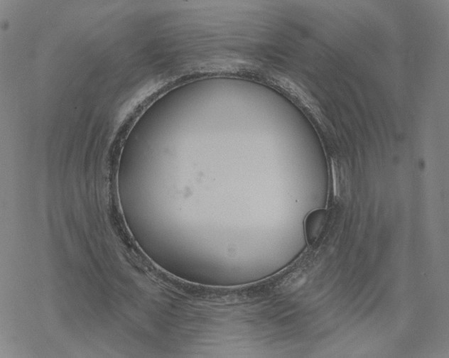 X0000076400675200610271619