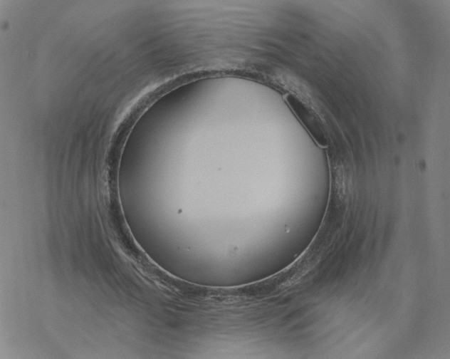 X0000076400676200610271619