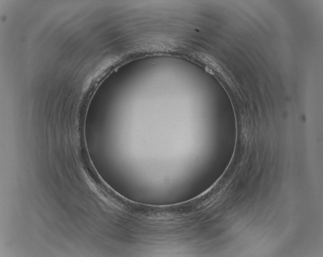 X0000076400677200610271619