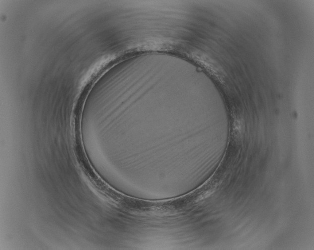 X0000076400678200610271619