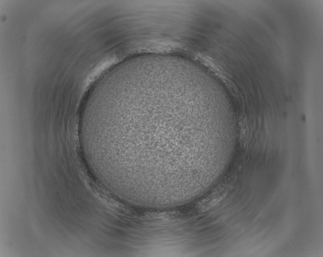 X0000076400679200610271619