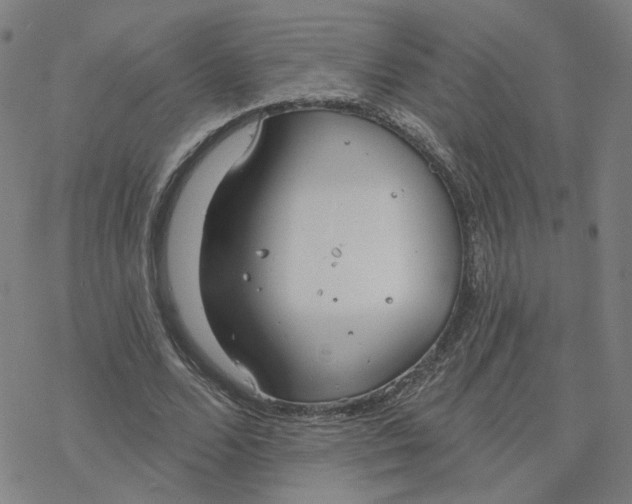 X0000076400680200610271619