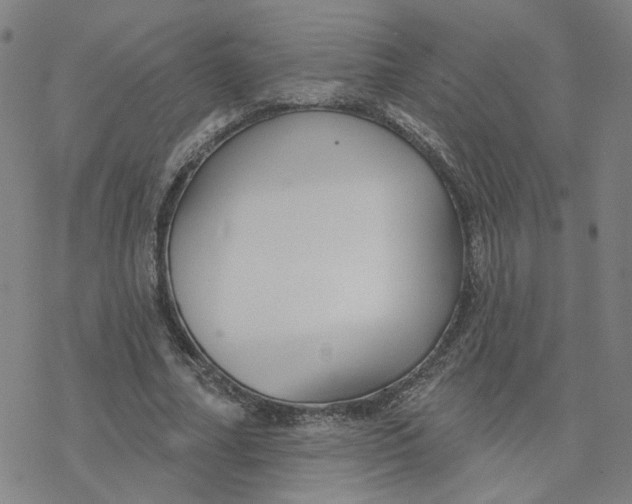 X0000076400682200610271619