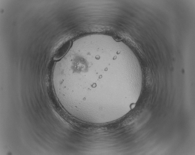 X0000076400683200610271618