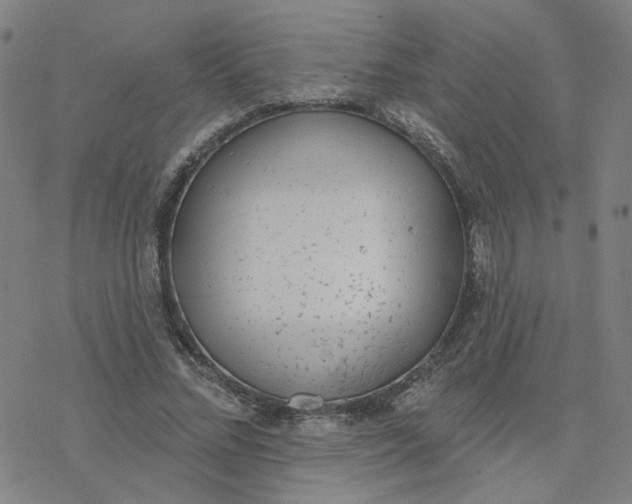 X0000076400684200610271618