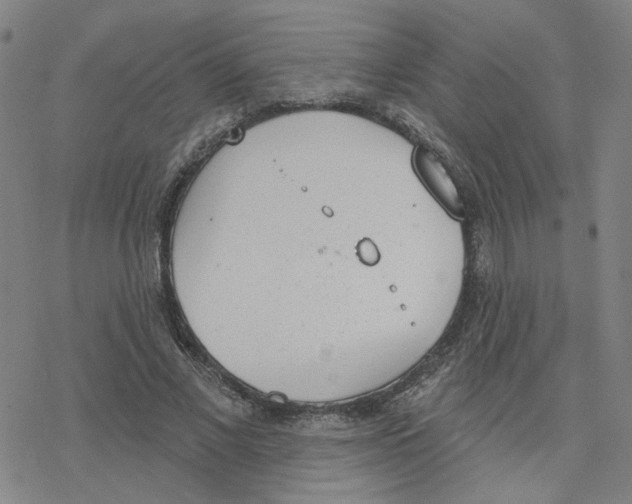 X0000076400685200610271618