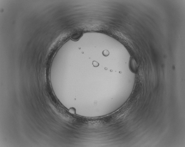 X0000076400686200610271618