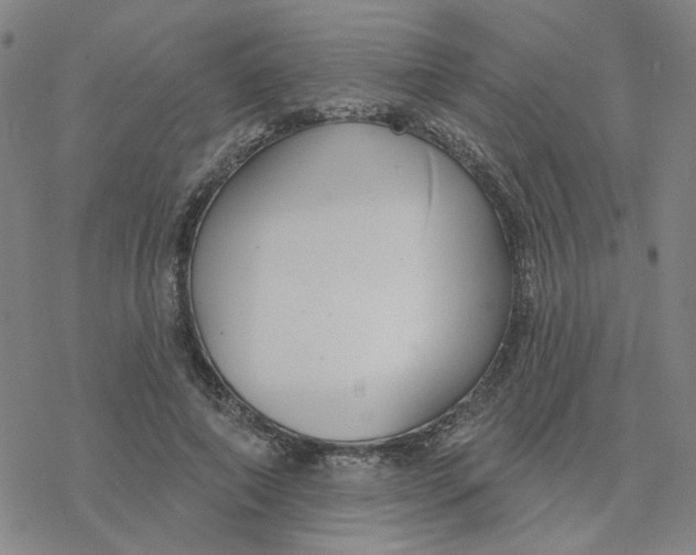 X0000076400690200610271618