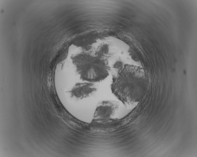 X0000076400691200610271618