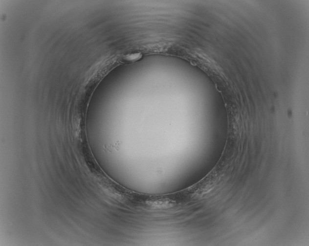 X0000076400693200610271618