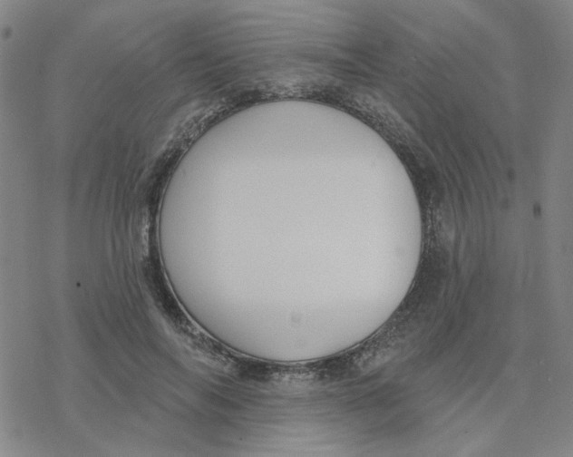 X0000076400694200610271618