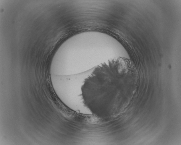 X0000076400695200610271618