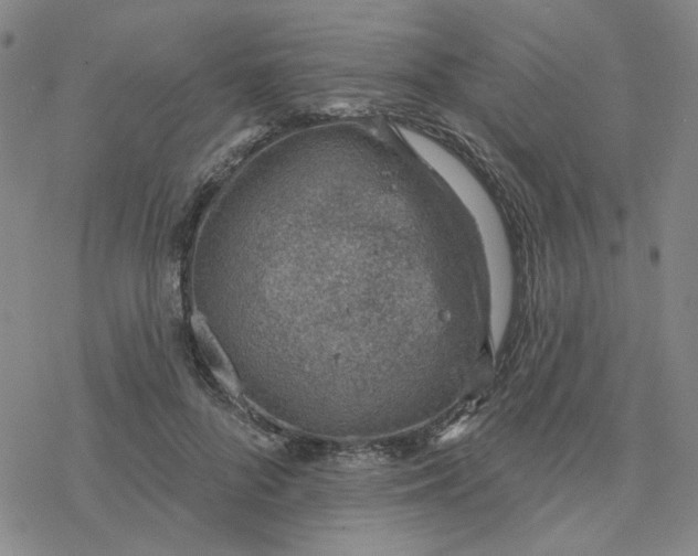 X0000076400696200610271618